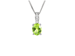 Lime Content Necklace