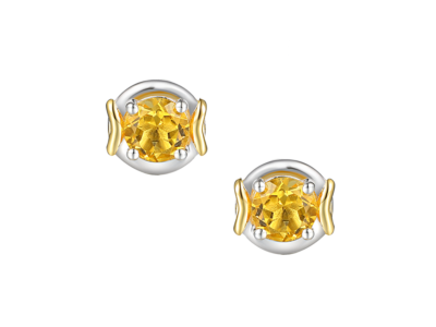 Compass Citrine Earrings