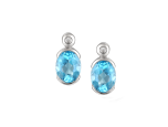 Spicy Blue Earrings