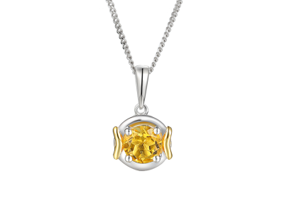 Compass Citrine Necklace